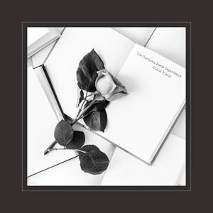 大櫆响2024年的作品
